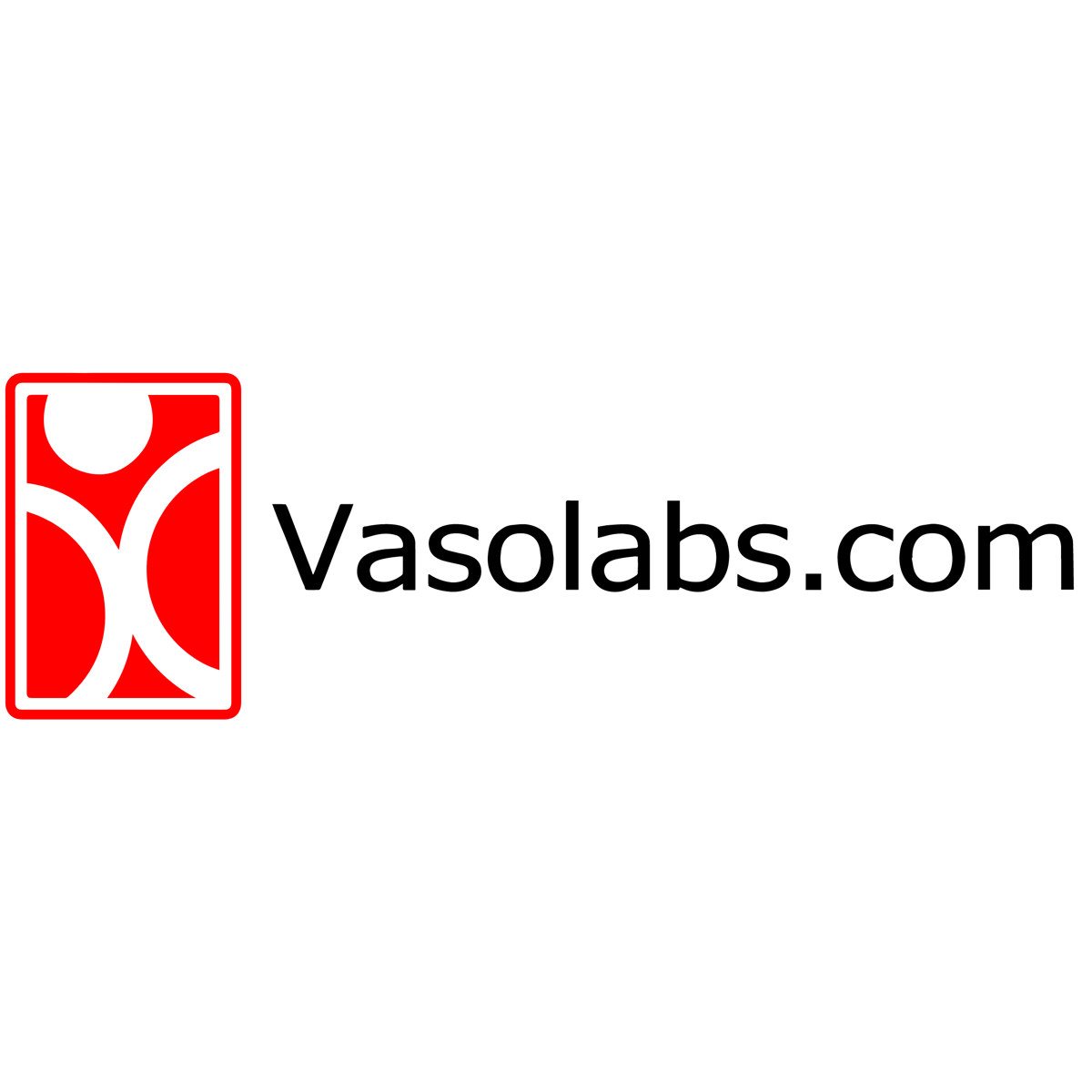 Vasolabs Logo